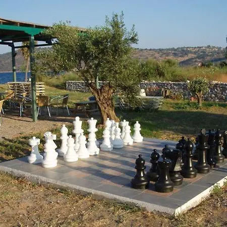 Akti Lejlighed